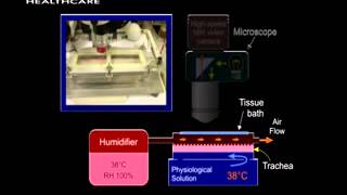 Recording Video of Mucus Transport [upl. by Jacinto646]