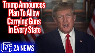 Trump Announces Plan To Allow Carrying Guns In Every State [upl. by Siuqcram624]