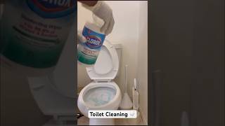 Satisfying Toilet Cleaning asmrsounds [upl. by Oetomit]