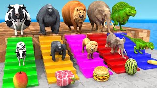 Cow Elephant Lion Gorilla TRex Choose the RIGHT Animal ESCAPE ROOM CHALLENGE Animal Cage Game [upl. by Seravart]