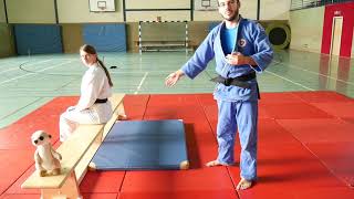 Judo  Fallschule rückwärts JudoFürKinder No4 [upl. by Modestine]