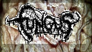 mincecore FUNGUS  VORACIOUS PRURITUS IN NECROTIC HARMONY DEMO MINCECORE 2024 GRINDCORE [upl. by Fianna]