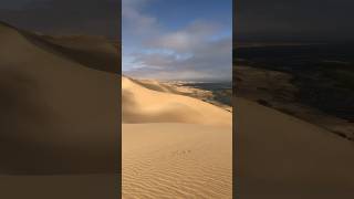 Where the desert meets the sea in Namibia 🇳🇦 namibia travel desert [upl. by Almire]