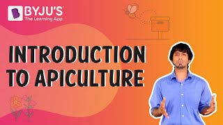 Apiculture or Beekeeping Introduction  BYJUS [upl. by Cirilla912]