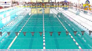 2da Jornada Campeonato Provincial de Natación Promocionales y Federados Mar del Plata 2024 [upl. by Evol]