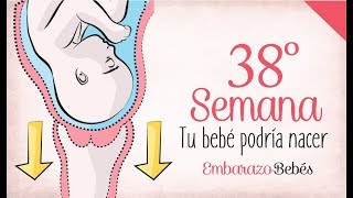 Mi experiencia con un parto inducido a las 38 semanas  Inicio de preeclampsia [upl. by Tteltrab]