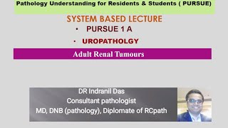 Pursue 1A Uploaded Uropathology Adult Renal Tumours [upl. by Demott104]