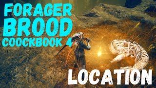 Where to Find the FORAGER BROOD COOKBOOK 4 in Elden Ring [upl. by Nauqram786]