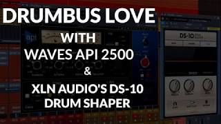 Drumbus Love w Waves Api 2500 amp XLN Audios DS10 Drum Shaper [upl. by Giavani163]