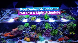 ReefDudes Ecotech Radion G6 Schedule and PAR test [upl. by Kcirderfla]