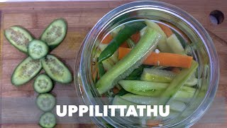 Uppilittathu  pickle recipe  cucumber 🥒 [upl. by Ute213]