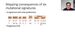 Protein structural consequences of DNA mutational  Joseph Ng  VarI  Talk  ISMBECCB 2021 [upl. by Noyad]