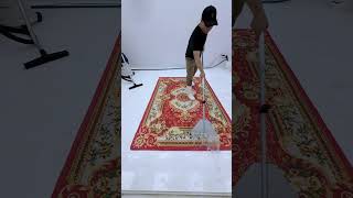 Unbelievable Carpet Cleaning  Watch Every Spot Vanish  ASMR Cleaning [upl. by Ennagroeg]