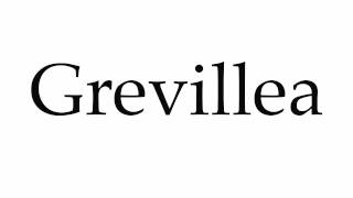 How to Pronounce Grevillea [upl. by Aserej14]