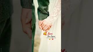 Main jis din bhula du Tera pyar Dil se love song hindi 💞🥰🥰💖 [upl. by Emelyne]