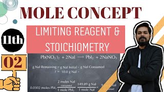 Mole Concept 1 । Class 11 L2 । Limiting Reagent  Stoichiometry [upl. by Ainolopa36]