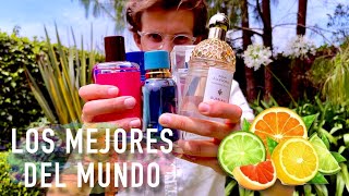 Los Mejores Perfumes Cítricos Del Mundo [upl. by Enois480]