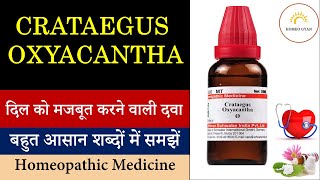 Crataegus Oxyacantha homeopathic Medicine  crataegus Mother Tincture  prevent heart attack [upl. by Fryd]