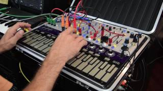 Future Retro 512 touch keyboard playing the Buchla Music Easel [upl. by Viridi77]