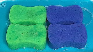 6 NEW SPONGES • DETERGENT TYTAN EUCALYPTUS 🩵💜💚 [upl. by Enerual]