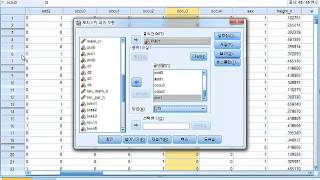 IBM SPSS Statistics를 활용한 로지스틱 회귀모형 분석 [upl. by Noiramed]