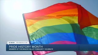 LGBTQ History Month [upl. by Sgninnej]