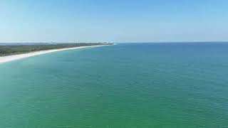 Fisherman amp lots of sharks Caladesi Island Dunedin Fl 5224 9am [upl. by Lupee]