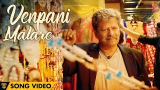 The Romance Of Power Paandi  Venpani Malare Male Song Video  Power Paandi  Rajkiran  Dhanush [upl. by White720]