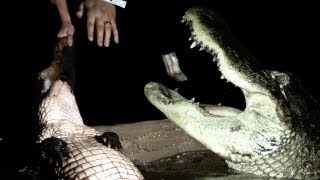 Alligator Death Roll in Super Slow Motion  Earth Unplugged [upl. by Ahsemad]