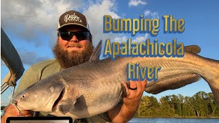 Bumping for catfish on the Apalachicola River [upl. by Forcier]