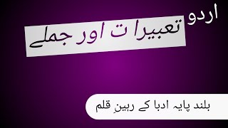 Adabi Jumle  Urdu Adab Adabi Shahpare [upl. by Tully]