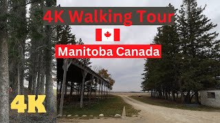 Walking Countryside Tour  Manitoba Petersfield [upl. by Kerek]