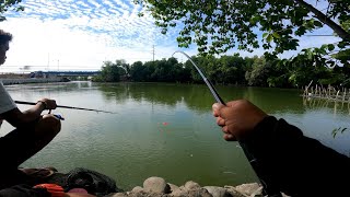 Pamimingwit ng Tilapia sa ilog Dagupan city Pangasinan [upl. by Harrus]