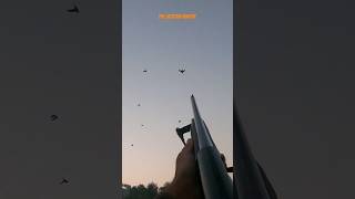 Duck 🦆 Hunting hunting shotgun youtubeshorts [upl. by Liscomb]