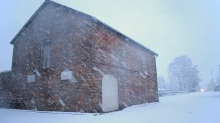 My winter residence is a derelict coach house in a car park [upl. by Oinota]