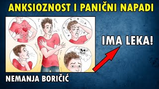 ANKSIOZNOST I PANIČNI NAPADI NISU SUDBINA Nemanja Boričić [upl. by Jezabelle]