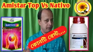 Syngenta Amistar Top Vs Bayer Nativo  অ্যামিস্টার টপ ও ন্যাটিভো কোনটি বেস্ট [upl. by Lemrahs866]