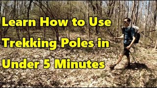 Learn to Use Trekking Poles in Under 5 Minutes [upl. by Yonita622]