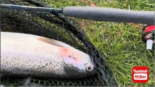 Brick Farm Trout Fishery  Testing Out My New Bloke Custom Built Fly Rod [upl. by Andy]