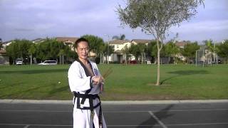 Hapkido Dan Bong Basic Strike Part 1 of 2 [upl. by Chaffee]