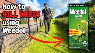 How to KILL WEEDS using Weedol [upl. by Esiocnarf]