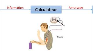 diagnostic automobile 1 les capteurs et les actuateurs [upl. by Daisie249]