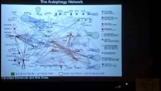 Proteomic amp Genetic Analysis of the Ubiquitin System [upl. by Norah]