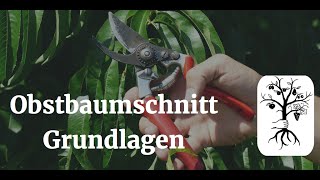 Obstbaumschnitt Grundlagen  Wuchsgesetze amp Schnittwirkung  Tipps für alle Obstarten [upl. by Colinson]