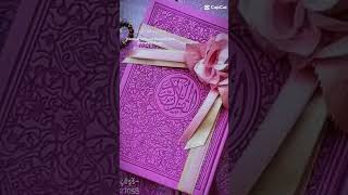 Ya nabi Salam alaika ya asool Salam alaika subscribe ❤️🥀🌹 [upl. by Henka]