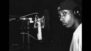 Big L  1988 Freestyle remix [upl. by Eustasius810]