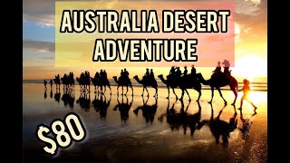 80 Adventure Camel Ride In Anna Bay  Newcastle  Australia [upl. by Adi528]