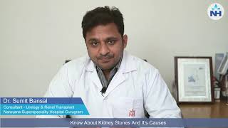 Kidney Stones And Its Causes  Dr Sumit Bansal [upl. by Edris]