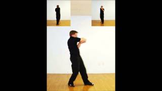 The Third Wing Chun Form Explosive Extremities Biu Gee [upl. by Chandal520]