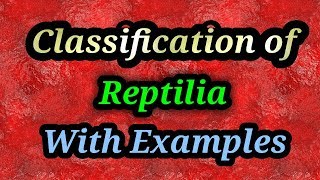 Reptilia classification with examples [upl. by Celeste]